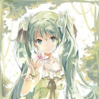 DYG赛训